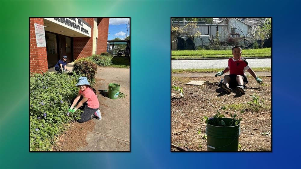 Students gardening around school